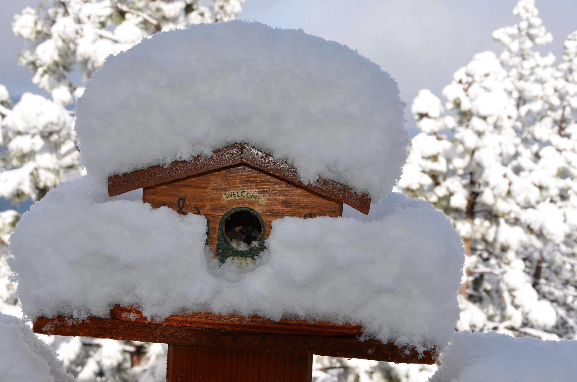 Where Eagles Fly Bed & Breakfast Elk Point Exterior foto