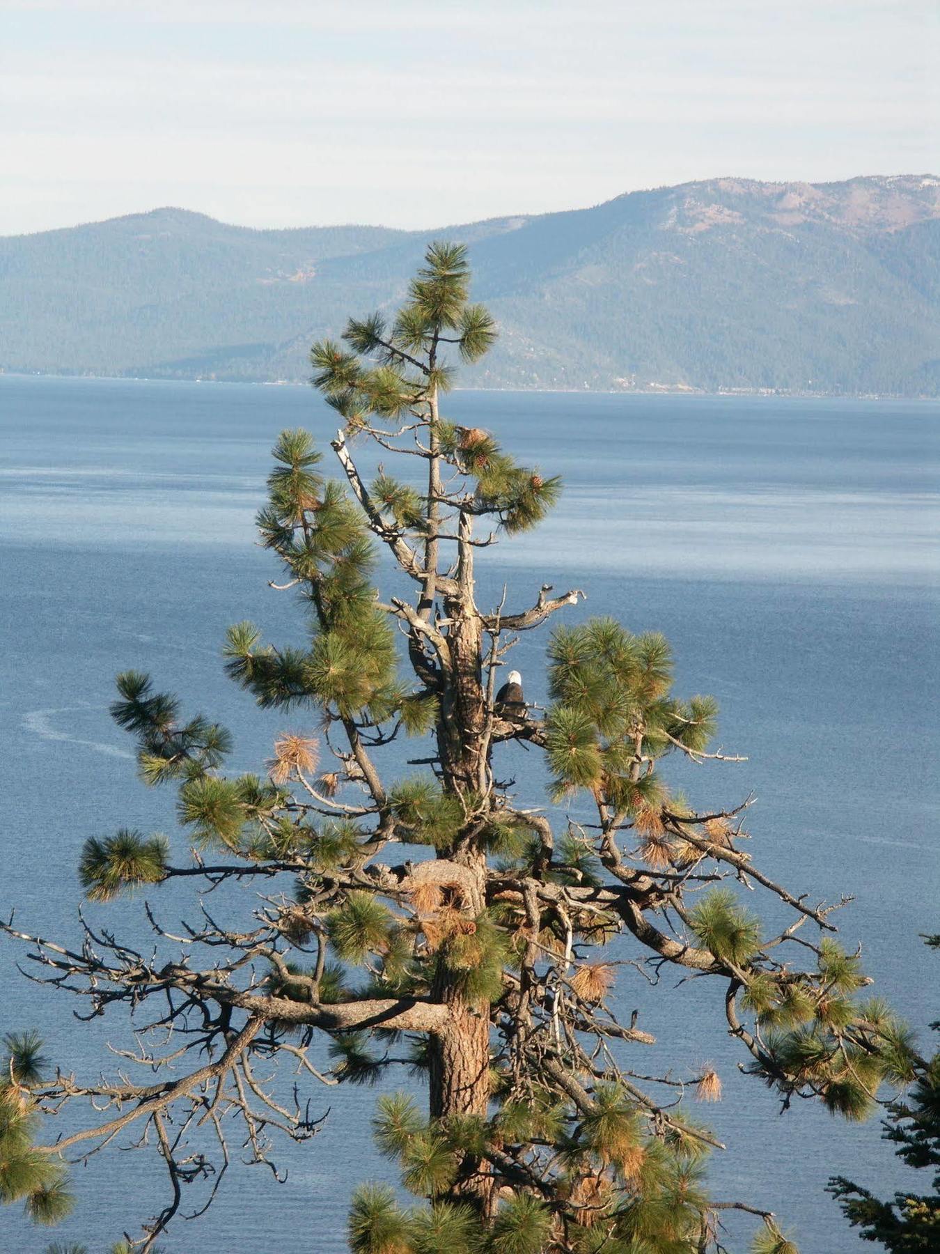 Where Eagles Fly Bed & Breakfast Elk Point Exterior foto